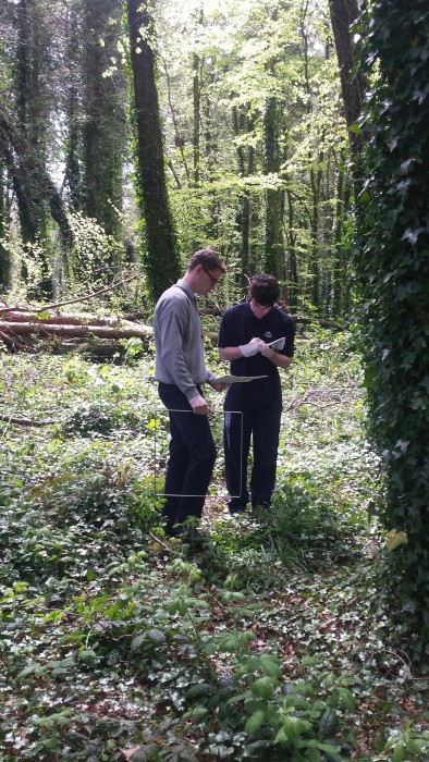 20160506_124231_resized