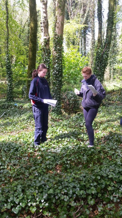 20160506_125153_resized_1