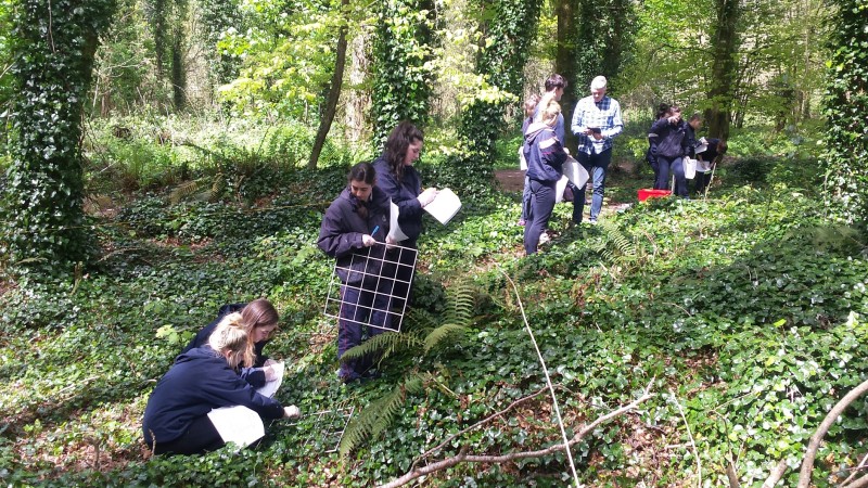 20160506_125221_resized_1