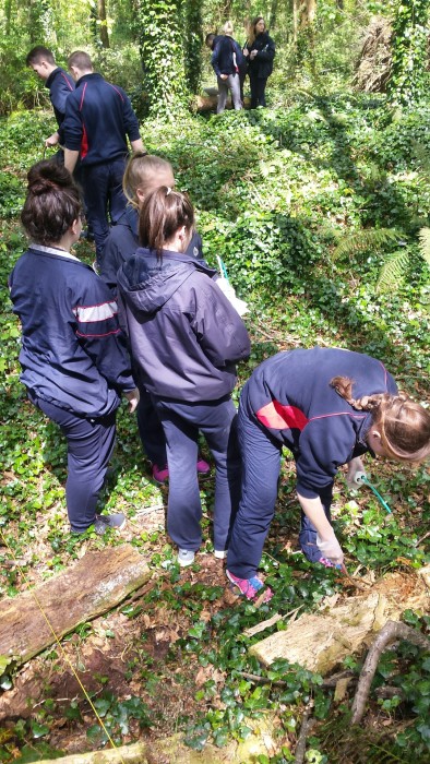 20160506_133212_resized