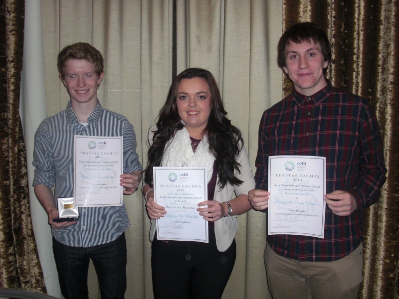 Iardhaltaí Choláiste Daibhéid ag Duaisbhronnadh B.O.O.C. 2014 / Past pupils of Coláiste Daibhéid ag the Cork ETB Awards 2014