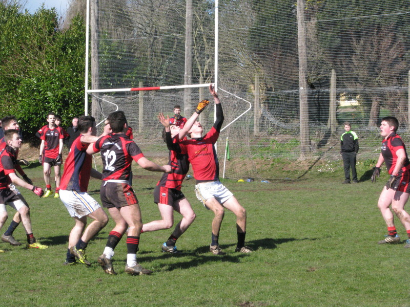 Craobh 13 Márta 2015 023