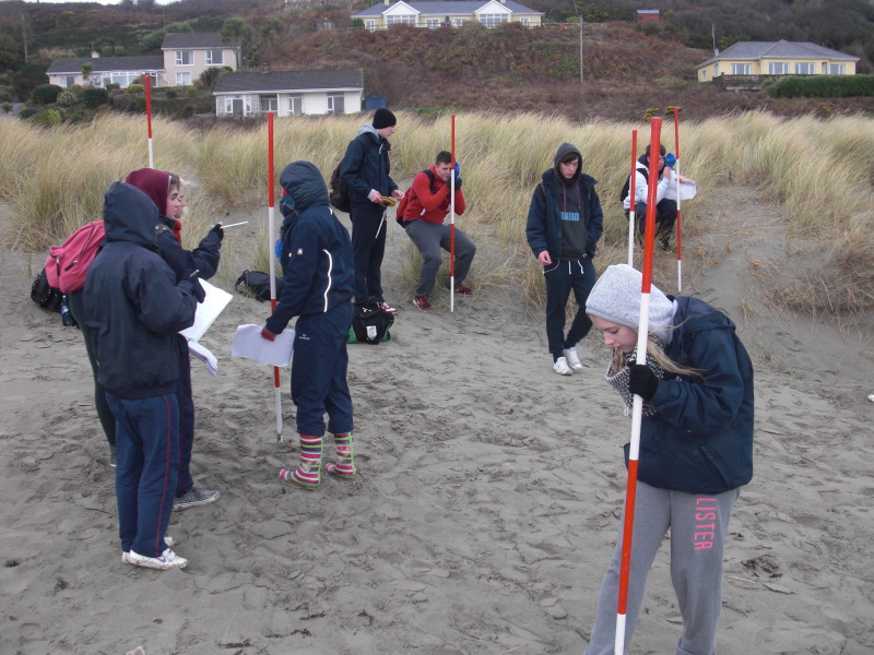 Próifíl Trá / Beach Profile