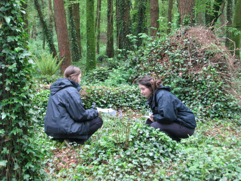 Éiceolaíocht 2015 007